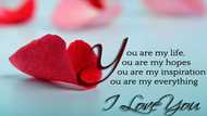 Exiting true love quotes for your lover