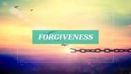 Useful verses about forgiveness in the bible
