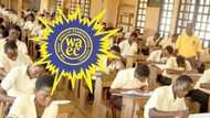 WAEC Ghana placement for BECE: Your SHS selection guide