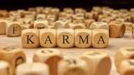 Karma quotes about cheating and betrayal