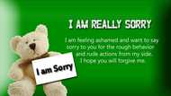 I am sorry messages to send your girlfriend