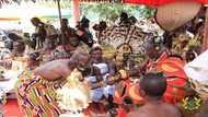 Gabby finally 'reconciles' with Otumfuo as he bows before him at Okyehene's durbar (Photo)