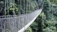 10 best tourist sites in Ghana you should visit at least once in your life