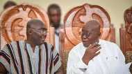 Nana Addo, Bawumia haunted by past Twitter posts on Mahama's performance as cost of living gets unbearable