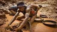 Causes and effects of galamsey in Ghana