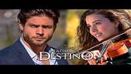 Full story of Road to Destiny telenovela