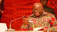 Akufo-Addo shows his comical side over expatriates saga involving the Trade ministry