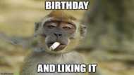 Jokes messages for birthdays