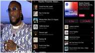 Burna Boy's song featured in Biden, Harris inauguration playlist