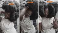 "What is your secret?" Pretty lady's thick 'natural' hair makes men go crazy, she flaunts it in viral video