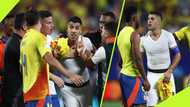 Uruguay vs Colombia Copa America Clash: How Luis Suarez triggered the player-fan altercation"