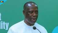 Ghana’s Cabinet revokes E.I. 144 to protect Achimota Forest Reserve