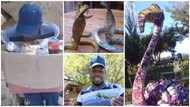 Talented disabled man turns can wastes into ostrich, snake and frog artworks