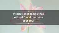 25 inspirational poems that will uplift and motivate your soul