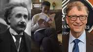 16-year-old boy stuns the world; tops Bill Gates and Einstein with his IQ
