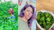 Beautiful young lady who farms for living shows off amazing farm products harvested