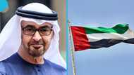 UAE government outlines reasons foreigners may be deported, issues guidance