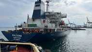 First Ukrainian grain shipment since invasion heads to Istanbul