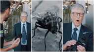 Man gives billionaire Bill Gates dead fly as gift in video, gives reason for his action, social media reacts