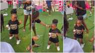 Where did she learn it from? Little girl shows off zazu viral dance moves in video, adults gather around her