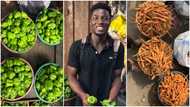 Job no dey but we'll survive - Aspiring journalist who sells vegetables at Agbogbloshie market says