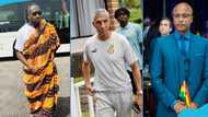 Chris Hughton gives strange explanation behind Paintsil- Ayew substitution