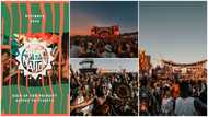 Afro Nation set to make massive comeback this December, ravers can't hold back excitement
