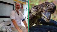 Man fights 13-foot python which tries to bite and squeeze him, netizens thankful he escaped