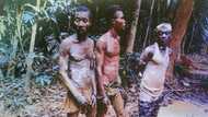 3 Illegal miners slapped with 15 years jail sentence and fined GH¢240,000 each