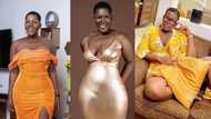 Abena McKenzie: Kumawood actress stuns fans as she shows off too much beauty