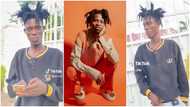 Kwesi Arthur lookalike pops up on TikTok; video gets peeps laughing