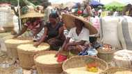 Price of maize increase by 300 percent at Techiman Central Market