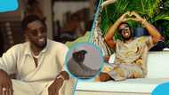 Diddy filmed using a phone in prison amid claims he enjoys liquor, a modified tablet and other banned luxuries