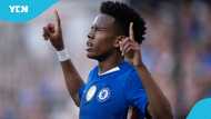 Chelsea fans come to instant verdict on Estevao after debut vs Bayer Leverkusen