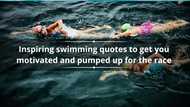 25 inspiring swimming quotes to get you motivated and pumped up for the race