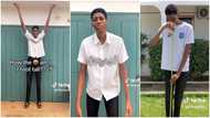 7 feet tall man shows off his height, mother is 5 feet 8 inches, people advise him