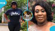 Sedina Tamakloe's old dance video resurfaces after Court of Appeal overturns 10-year sentence