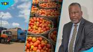 "Blame ECOWAS for food stuck at borders": Festus Aboagye faults hasty Niger sanctions