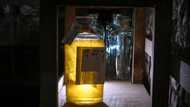 Inflation a thorn in the side of Bulgaria rose oil makers