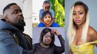 FreeAkuapemPoloo: Sarkodie, Sista Afia, others, join Ghanaians to boldly ask court to free Akuapem Poloo