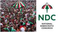 NDC holds 2023 primaries: 15 constituencies put on hold, over 300,000 voters and other matters