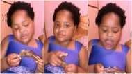 Massive reactions as little girl expresses love to cow as she eats animal meat