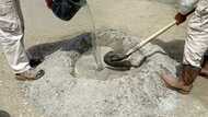 I make Ghc100 a day mixing concrete though I have masters degree in petroleum engineering - GH man says