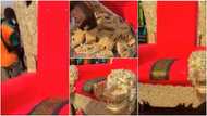 Lady bakes throne-like cake to mark her dad's 25th year as king