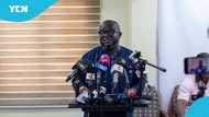 “The blood of the eight is on your head”: Ken Ashigbey tells politicians involved in galamsey