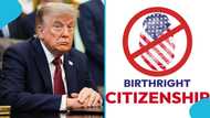 President Trump targets US birthright citizenship with bold new executive orders