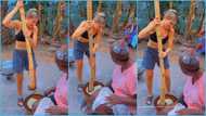 Obroni pounds fufu in Ghana, pleads with woman to remove her hand, video evokes laughter