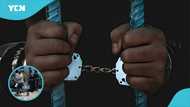 Police thwart three in attempted custody breakout as new court update sets online buzzing