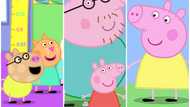 Meet the Peppa Pig characters and discover their unique personalities