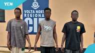 3 Hohoe E.P. SHS graduates arrested after viral video displays destruction of school property